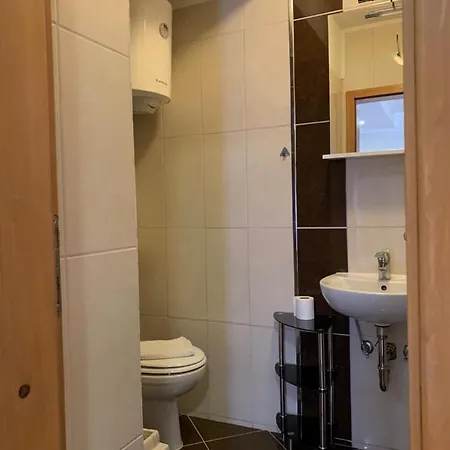 ベッド・アンド・ブレックファスト Doubleroom With Extrabed And Bathroom , Ac - 106